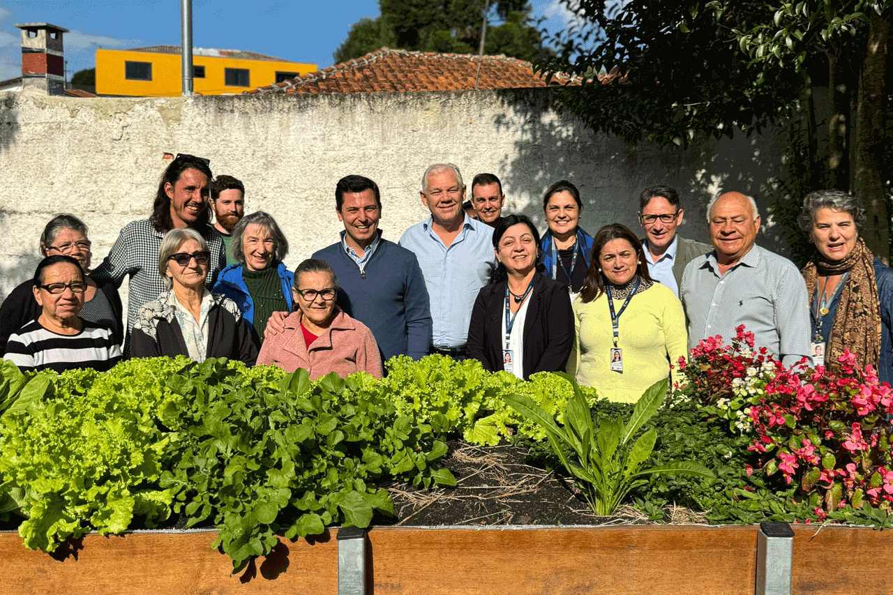 Hortas Comunitárias Em Curitiba Sustentabilidade E Inclusão Pier